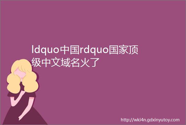 ldquo中国rdquo国家顶级中文域名火了