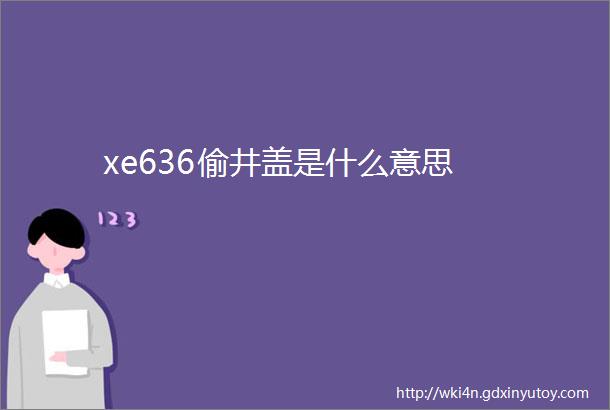 xe636偷井盖是什么意思